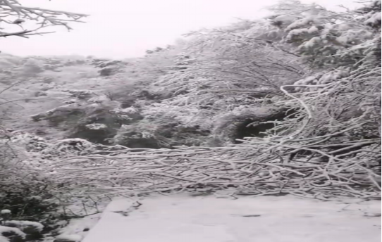 戰(zhàn)暴雪、保供電！湖南發(fā)展鳥兒巢公司應(yīng)對極端天氣緊急搶修失電故障